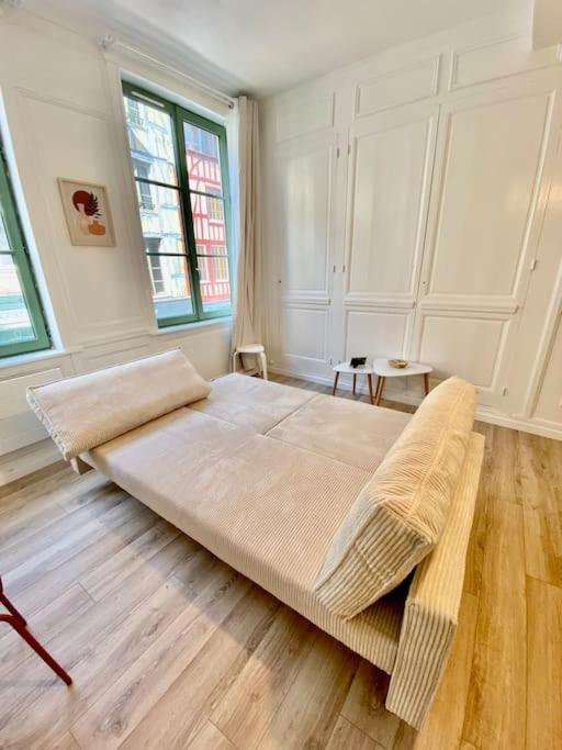 Appartement Le Cocon Du Robec à Rouen Extérieur photo